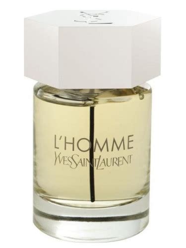 L Homme Yves Saint Laurent cologne   a fragrance for men 2006