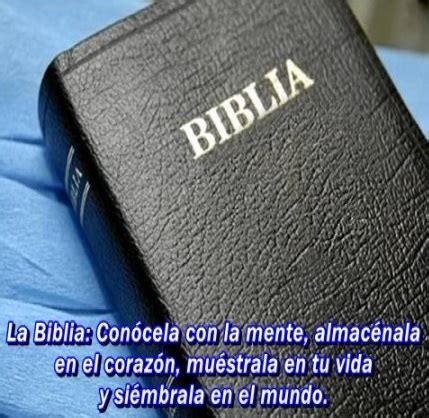 La Biblia Cristiana Y La Palabra De Dios   Frases Cristianas
