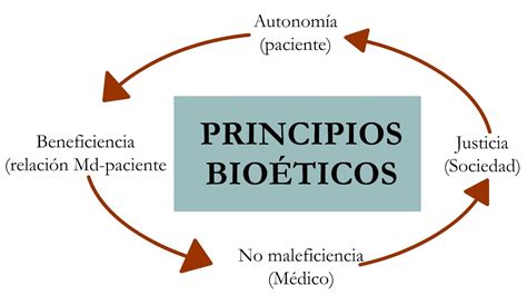 LA BIOETICA EN LA ACTUALIDAD.: PRINCIPIOS DE LA ETICA