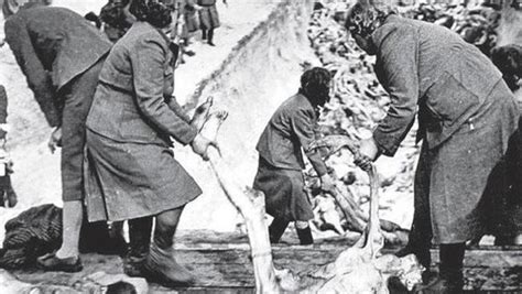 La brutalidad de las guardianas nazis en los campos de ...