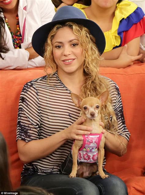 La cantante Shakira y sus perros – Noticias de perros