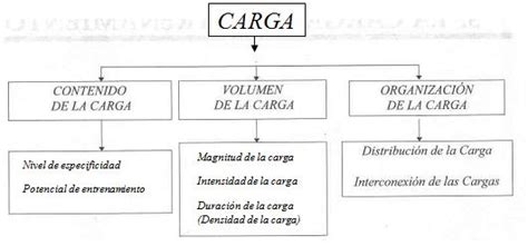 LA CARGA DE ENTRENAMIENTO: Concepto de carga. – TRAINING ...