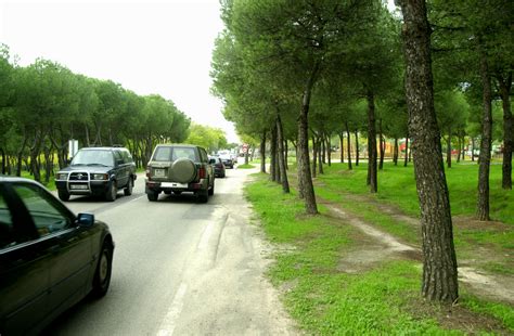 La Casa de Campo se cierra al tráfico   Ayuntamiento de Madrid