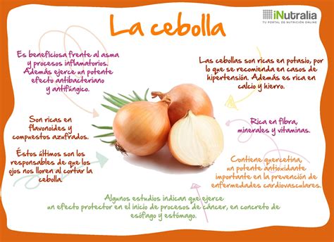 La #cebolla‬ es uno de los #‎alimentos‬ más utilizados en ...