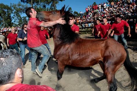 La celebración de la Rapa das Bestas en Vimianzo