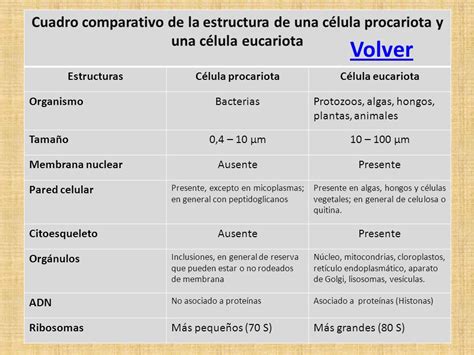 La célula Contenidos Juego.   ppt descargar