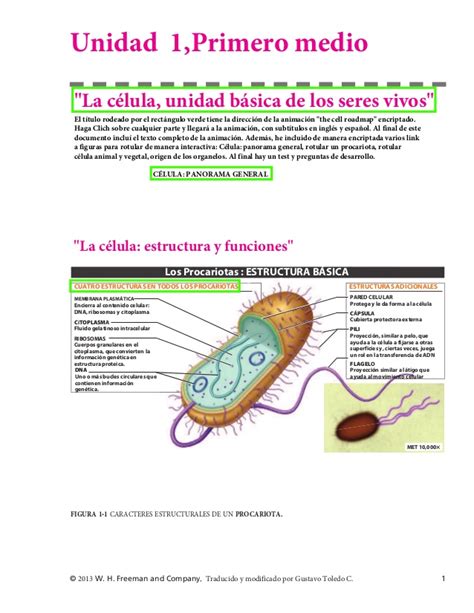 La célula procariota y eucariota