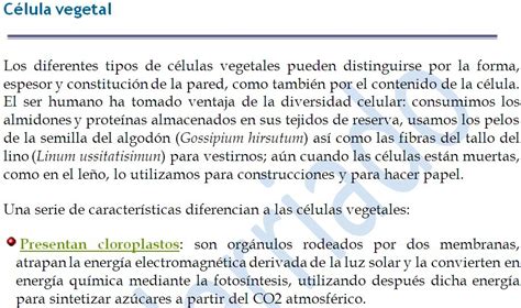 La célula y los tejidos vegetales   Apuntes y Monografías ...