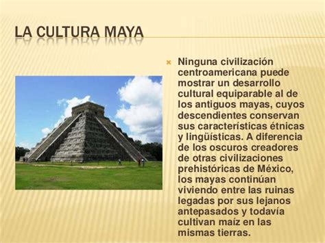 La cultura maya [Javier J. León]