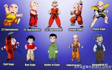La evolución de algunos personajes principales de Dragon ...