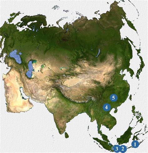 La evolución humana: Yacimientos paleoantropológicos