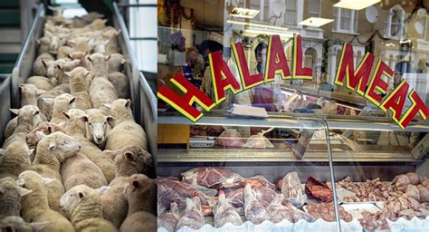 La extrema crueldad en los mataderos incluye la carne ...