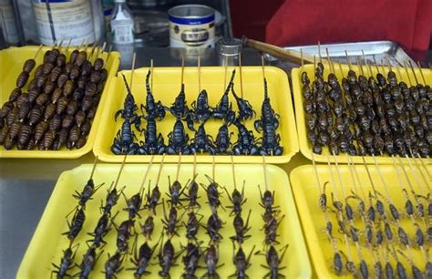 La FAO aconsella menjar insectes per combatre la fam