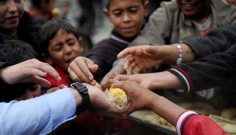 La FAO advierte de que el hambre ha aumentado de nuevo en ...