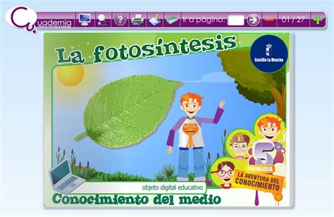 La fotosíntesis | Recurso educativo 47188   Tiching