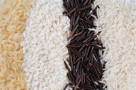 La guía definitiva para cocinar un arroz perfecto   Arroz SOS