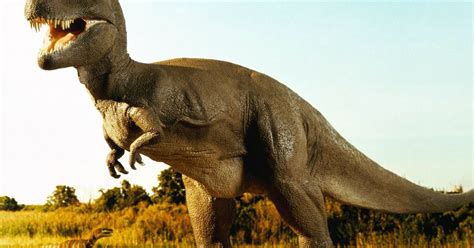 La historia de los dinosaurios: DINOSAURIOS CARNIVOROS