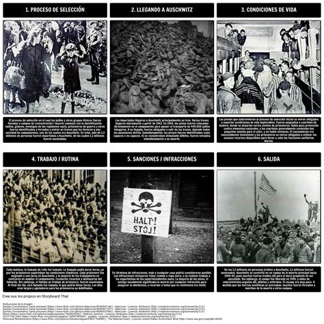 La Historia del Holocausto   La Vida en Auschwitz