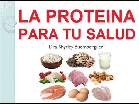 La importancia de la proteína para la nutrición   YouTube