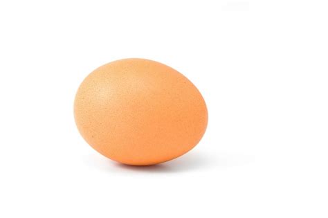 La importancia del huevo en la obtención de nutrientes ...