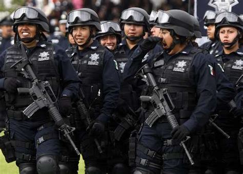 La Jornada: Retoma la Policía Federal Ministerial acciones ...