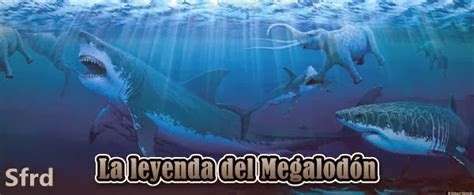 La leyenda del Megalodón [SATRip][Español][2013 ...