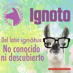 La llama culta on Pinterest | Ipso Facto, Carpe Diem and ...