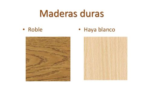 La madera y sus derivados