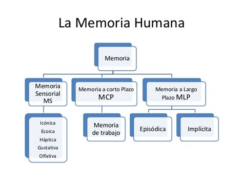 La memoria humana y la interpretación