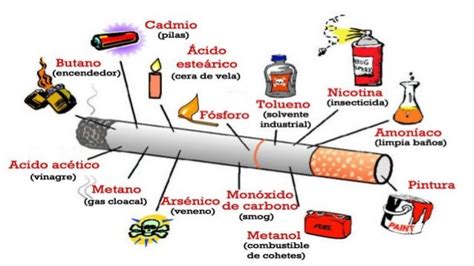 LA NICOTINA – DURA SALUD