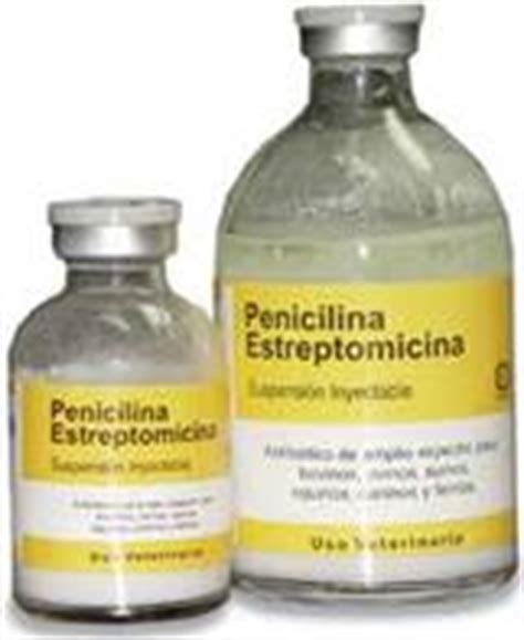 La Penicilina   Monografias.com