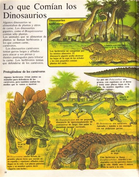 La prehistoria ilustrada para niños 01 dinosaurios a mc ...
