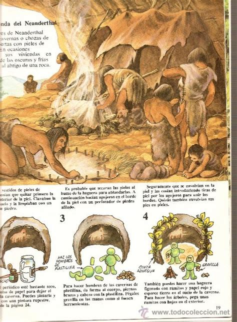 la prehistoria ilustrada para niños   el hombre   Comprar ...
