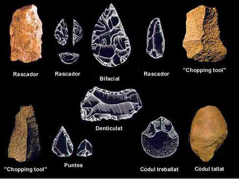 La prehistòria | Una finestra al món