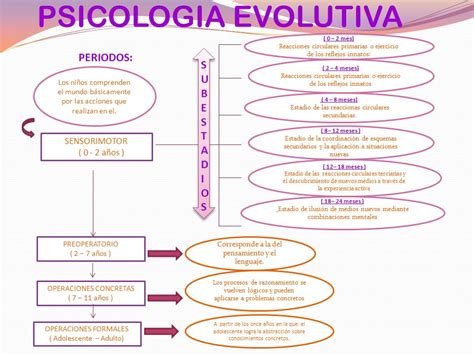 LA PSICOLOGIA EVOLUTIVA DE PIAGET   ppt video online descargar