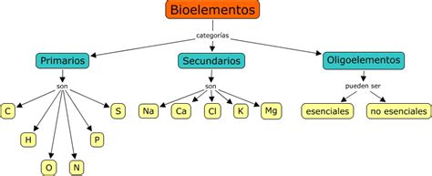 La Química y la Nutrición: Bioelementos y Oligoelementos