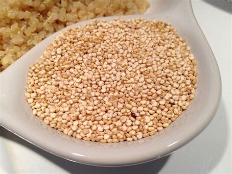 La Quinoa, un alimento saludable poco utilizado ...