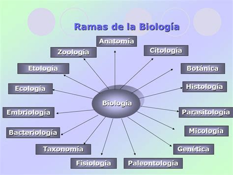 La relación de la Biología con otras ciencias ppt video ...