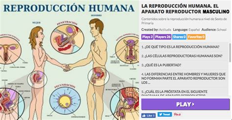 La reproducción humana: los aparatos reproductores ...