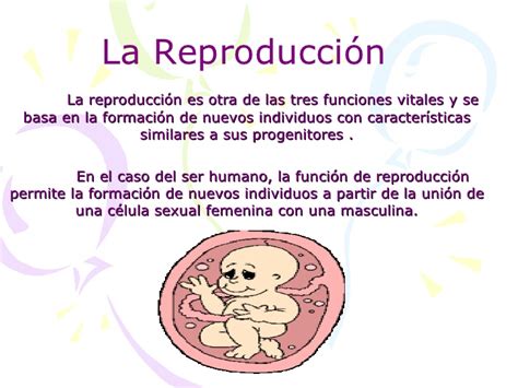 La Reproducción Humana