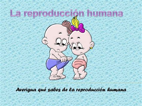 La reproducción humana   ppt descargar