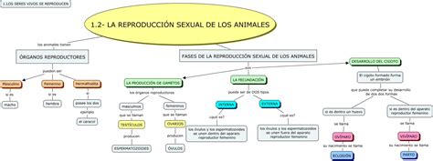 LA REPRODUCCION SEXUAL DE LOS ANIMALES