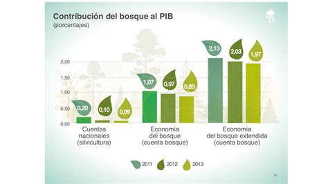 La riqueza forestal de Costa Rica es mayor que lo previsto ...