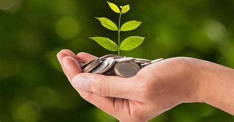 La ‘economía verde’, un filón para los emprendedores ...