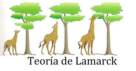 La Teoría de Lamarck y la evolución de las especies