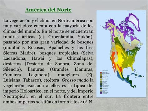 La vegetacion norte y sur