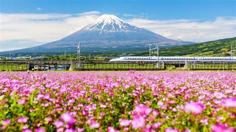 La venta de billetes de tren en Japón aumentará un 30% ...