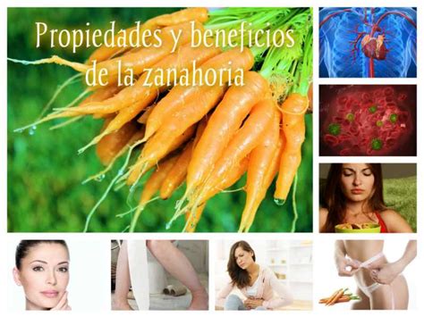 La Zanahoria, propiedades y beneficios | Canal Salud y ...