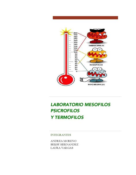 Laboratorio mesofilos psicrofilos by Andrea Yirley Moreno ...