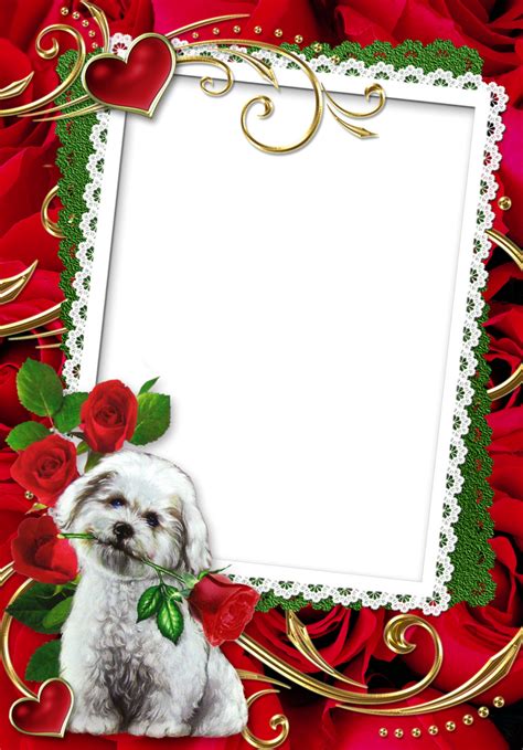 Lace Border Picture Frame With Cute Puppy And Roses Dog ...